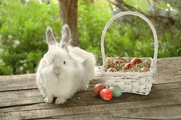 White bunny near basket with Easter eggs