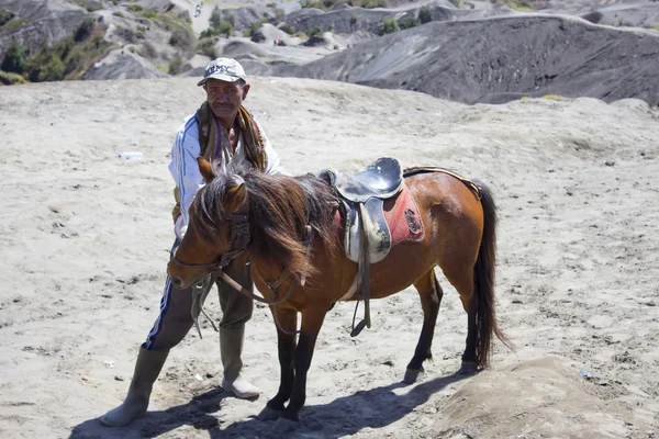 Indonesia man with the horse