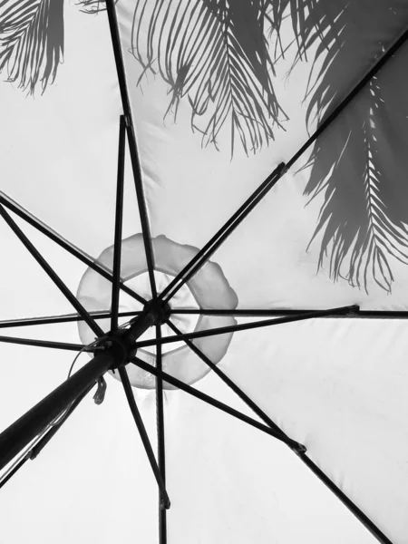 Sun umbrella with shadows of palm leaves