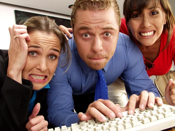 Business team watching a computer in an office