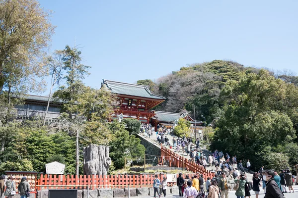 KAMAKURA, JAPAN - MARCH 22 2014: Many tourists at Tsurugaoka Hachimangu Shrine. One the most important Shinto shrine in Kamakura and an Important Cultural Property of Japan.