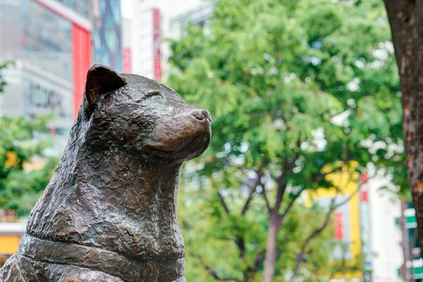 TOKYO, JAPAN - May 1 2014: Hachiko statue. Hachiko (November 10, 1923 - March 8, 1935) was remembered for his remarkable loyalty to his owner which continued for many years after his owner's death.