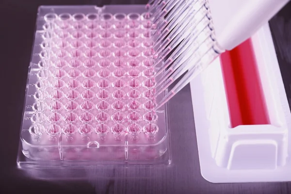 Pipetting with a 12-channel pipette in laboratory