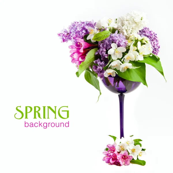 Beautiful spring flowers on a white background
