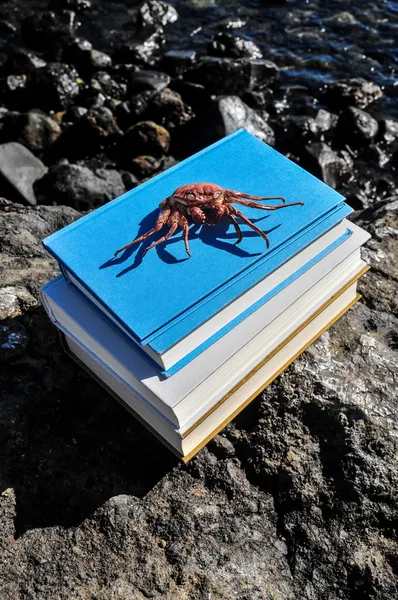 Orange Crab on Blue Books