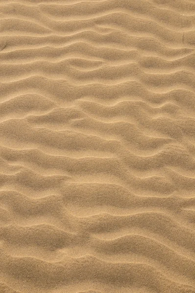 Sand Dune Desert Texture