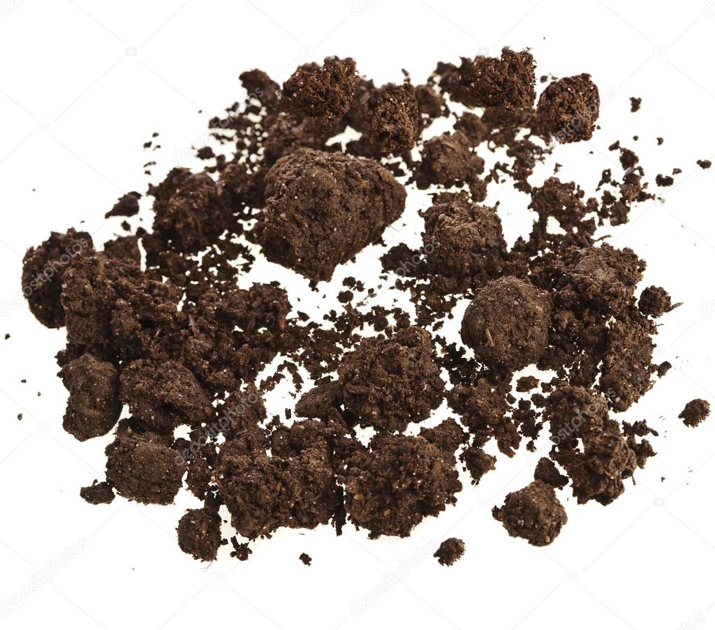 Pile of soil humus isolated on white — Stock Photo © Madllen 13839828