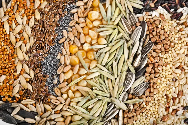 Cereal Grains and Seeds