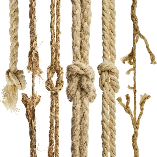 Hemp ropes with knot isolated on white background