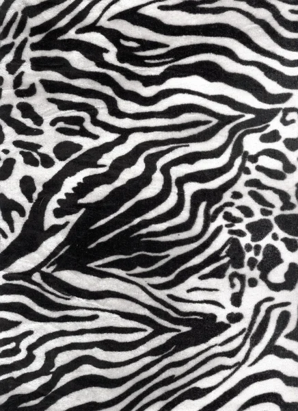 Black and white texture of zebra skin