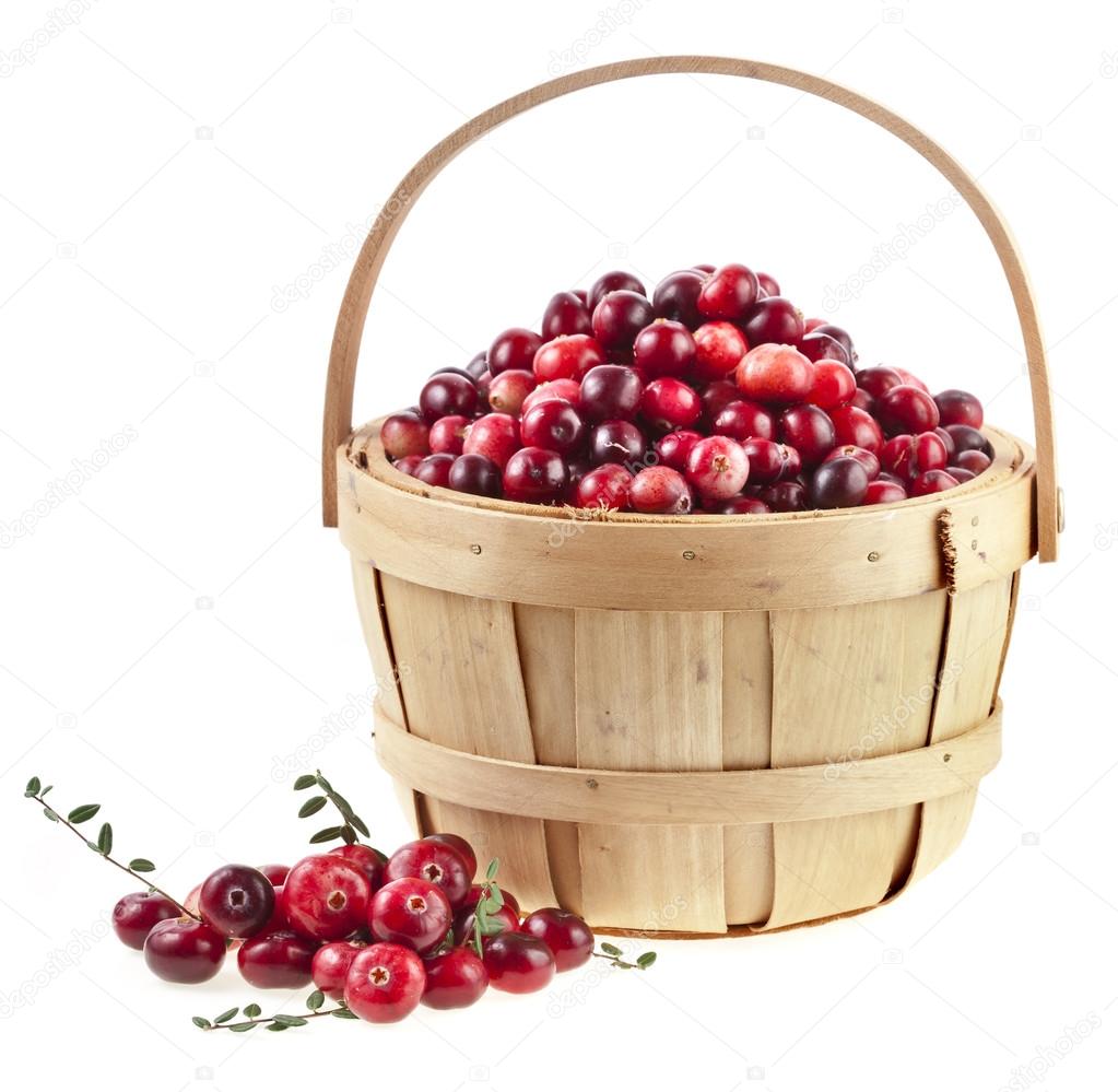 Корзина клюквы рисунок Корзина клюквы рисунок