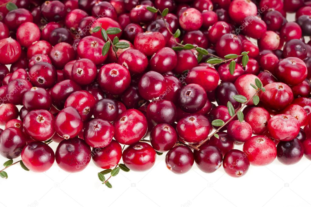 cranberries+|图库照片08madllen#15892691