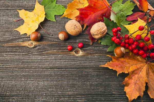 Autumn Leaves and nut over wooden texture background with copy space