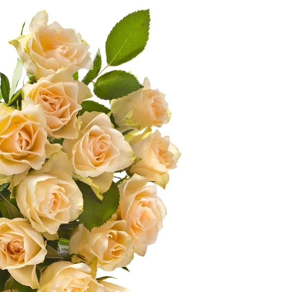 Border of Wedding bouquet cream beige roses isolated on white background,