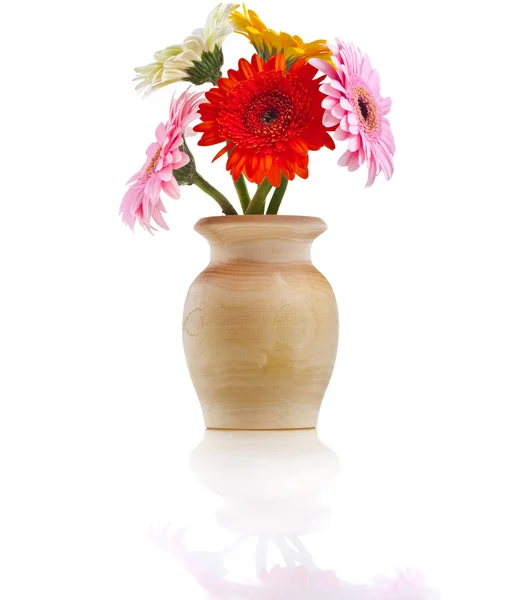 Bouquet flowers gerbera in a wooden vase on a white background