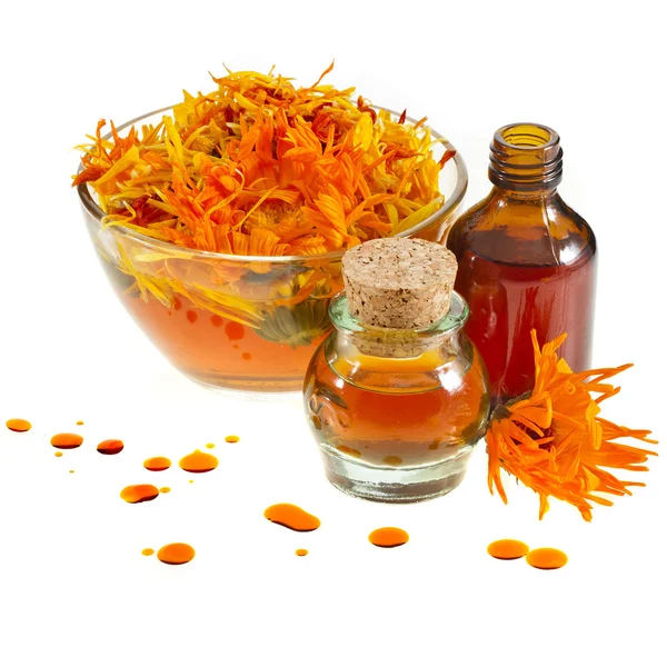 Herbal calendula in the glass and aromatherapy essential oil
