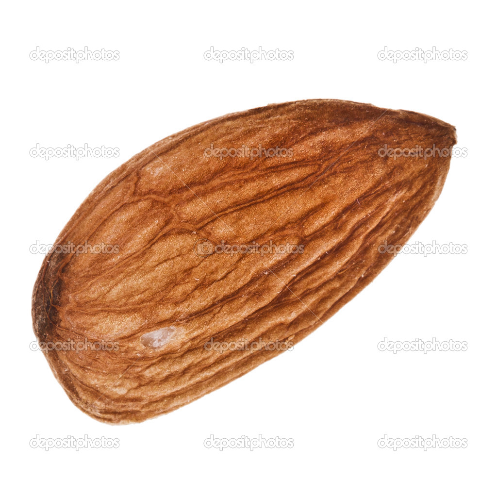 Single Almond Seed Close up Extreme Macro Shot isolated on a white
