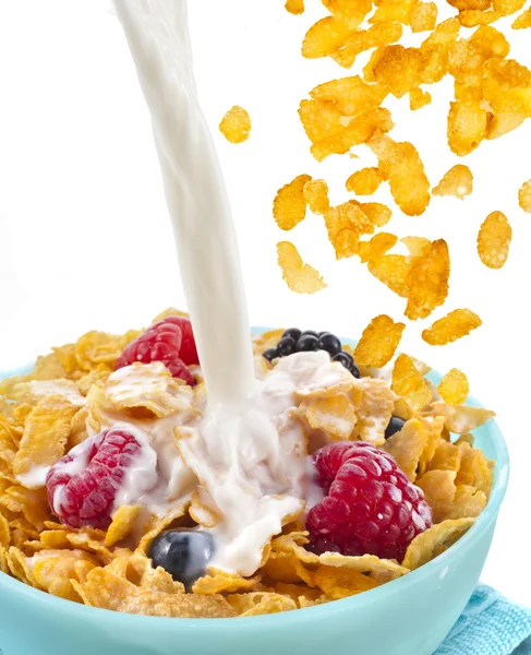 Falling corn flakes with fresh berries and pouring milk