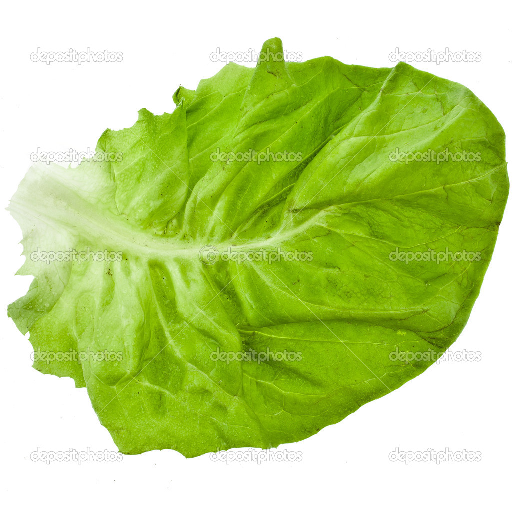 httpdating singlessalad com Maybe it's because i'm not dating someone right now (hint, hint), but i'll dub it lest you be joining me at the all-you-can-eat singles salad bar. httpdating singlessalad com Maybe it's because i'm not dating someone right now (hint, hint), but i'll dub it lest you be joining me at the all-you-can-eat singles salad bar.