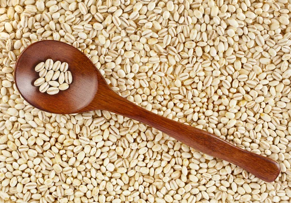 Pearl barley with wooden spoon