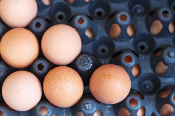 Eggs at the market stall