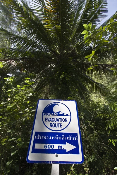 Sign indicating evacuation route in case of tsunami