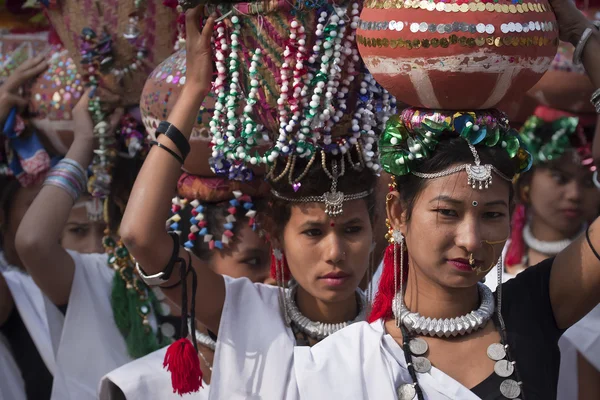 Cultural program - Elephant festival, Chitwan 2013, Nepal