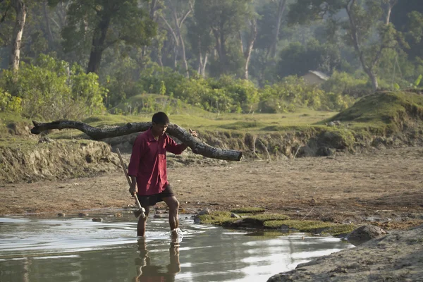 Nepali man carry wood from jungle