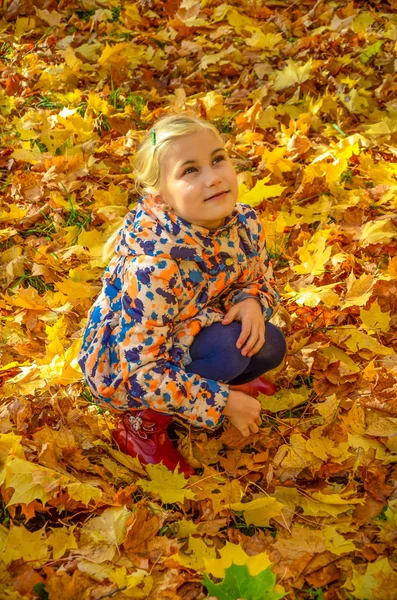 Girl sitting in the maple leaves