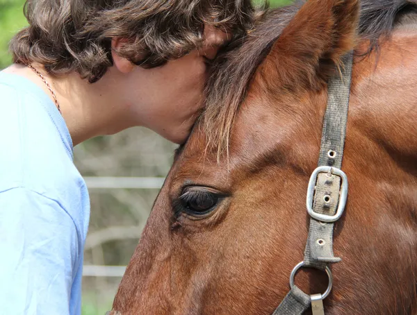 Horse love