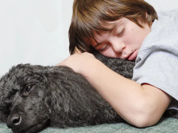 Twelve year old boy asleep on standard poodle dog