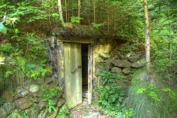 Secret doors in forest