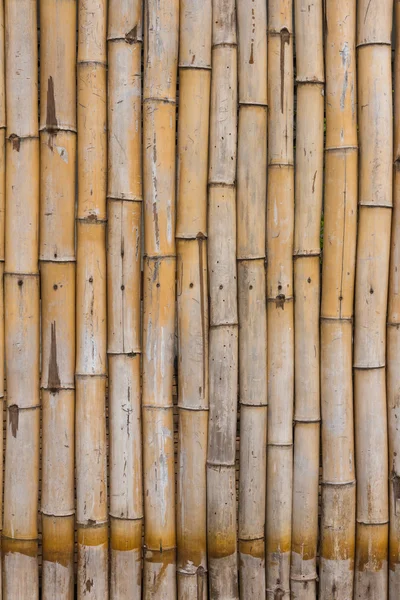 Wall bamboo wood design.