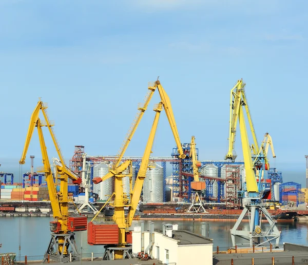 Trading sea port with cranes