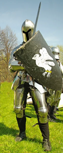 Medieval knight in full armor