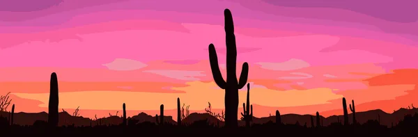 Mexican desert sunset with cactus.