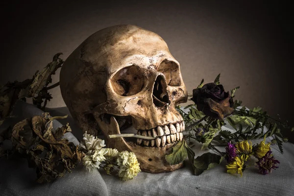 Skull with rose