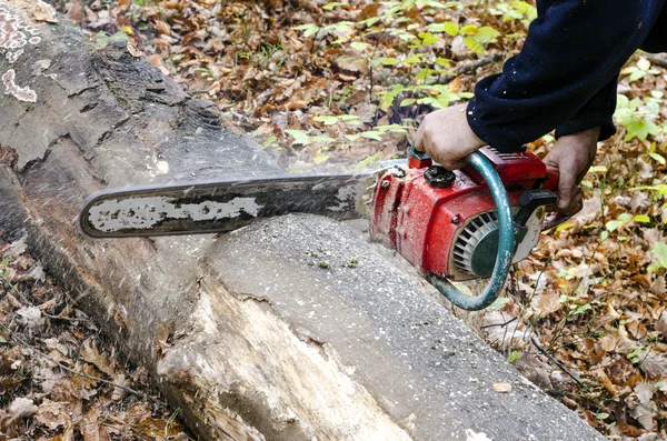 Hands with chainsaw