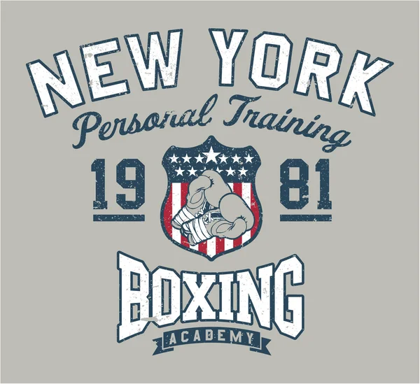 New York Boxing academy