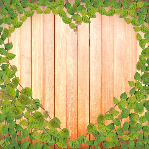 Green creeper plant shaped as heart on wood plank
