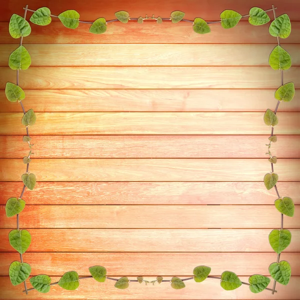 Green creeper plant frame on  wood plank