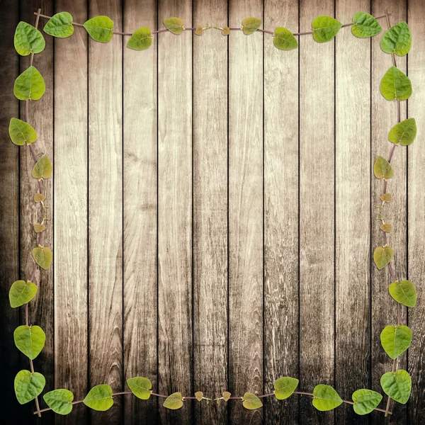Green creeper plant frame on rough wood plank