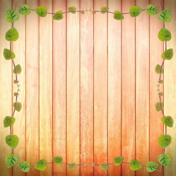 Green creeper plant frame on  wood plank