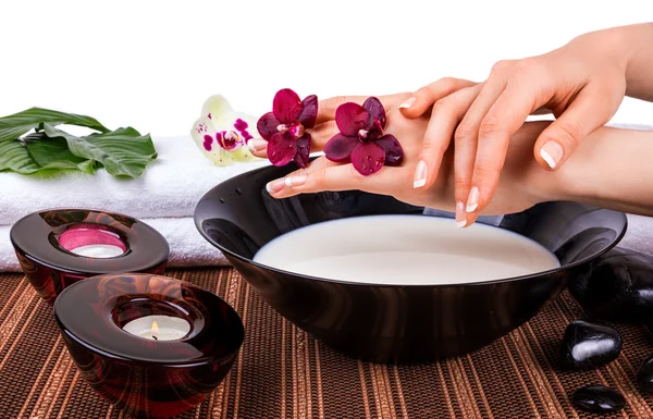 Spa for hands with orchids and bowl of milk