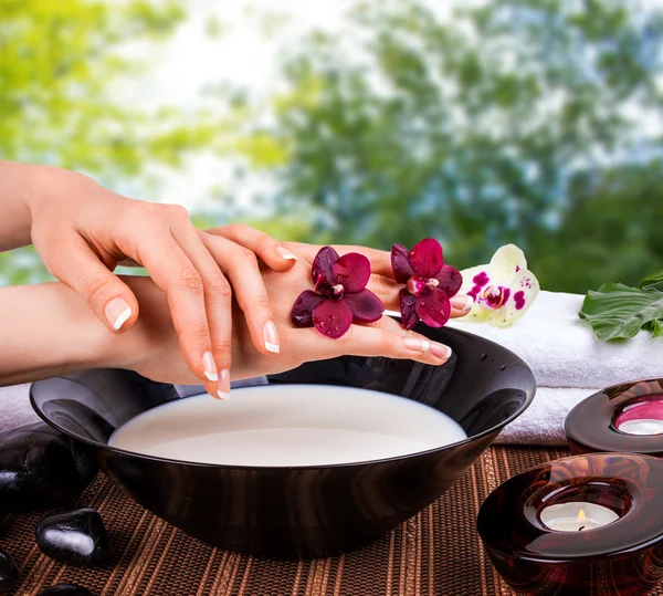 Spa for hands with orchids and bowl of milk