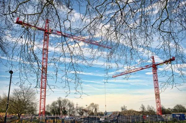 Construction tower cranes near the park