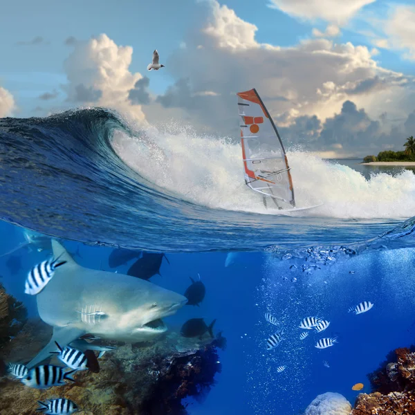 Windsurfer on breaking ocean wave and wild angry shark underwate