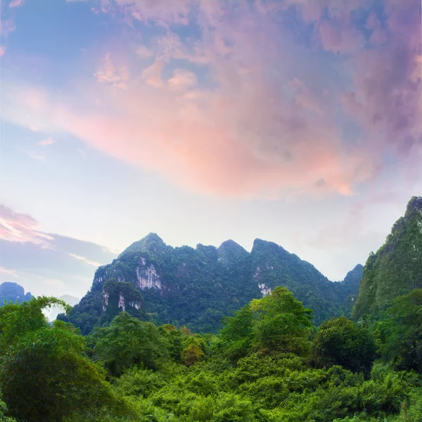 Beautiful jungle sunrise time with green forest and mountains on cloudy horizon