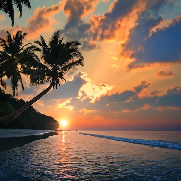 Tropical beach with palm trees at sunset time