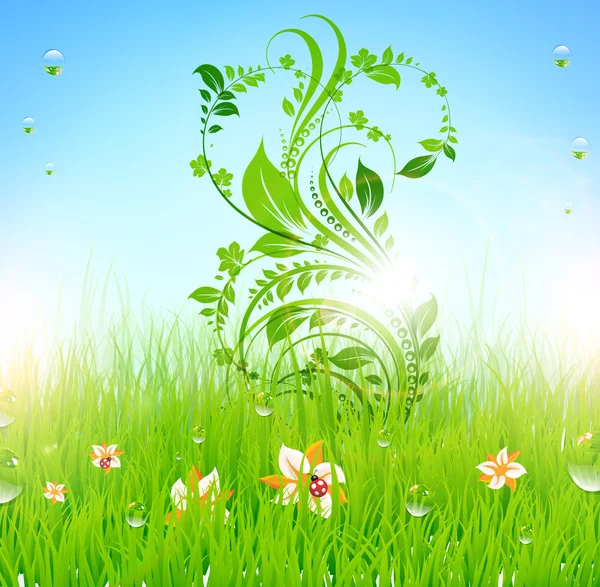 Summer vector grass wallpaper with flowers, ladybird, drops and sun shine. — Stock Vector #16216169